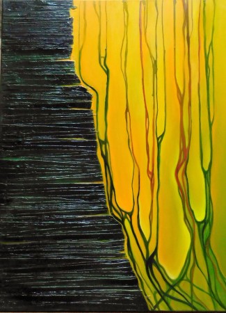 60x80, olej